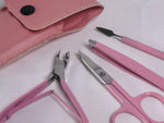 Manicure Set of 4 (6 colors available)